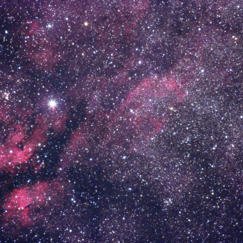 白鳥座ガンマ星付近