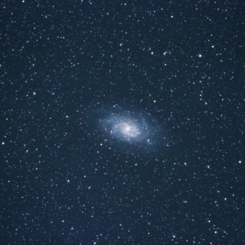M33