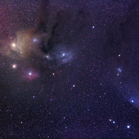 さそり座頭部のカラフルな星雲群