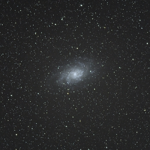 M33