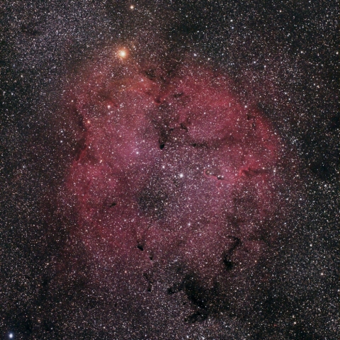 IC1396