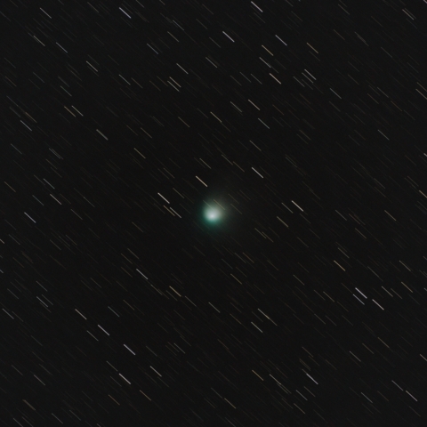 ZTF彗星 2023/01/31