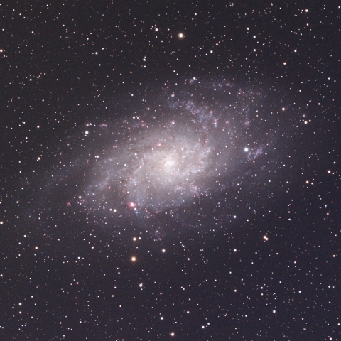 M33