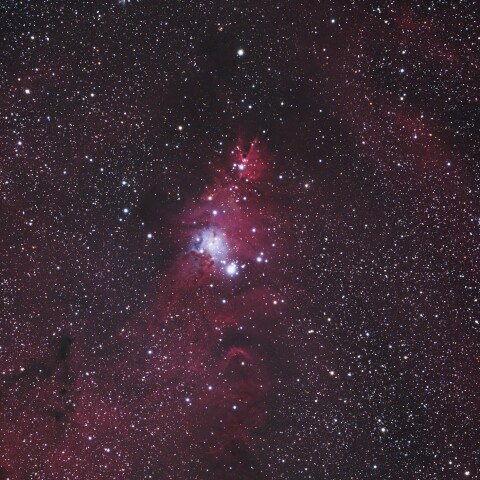 クリスマスツリー星団、コーン星雲