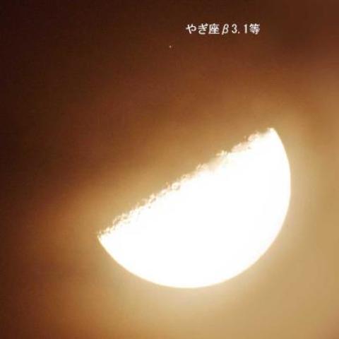 やぎ座βの星食