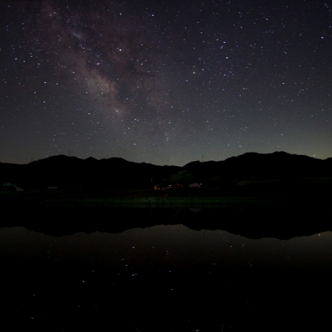 水田に映る夏の星座