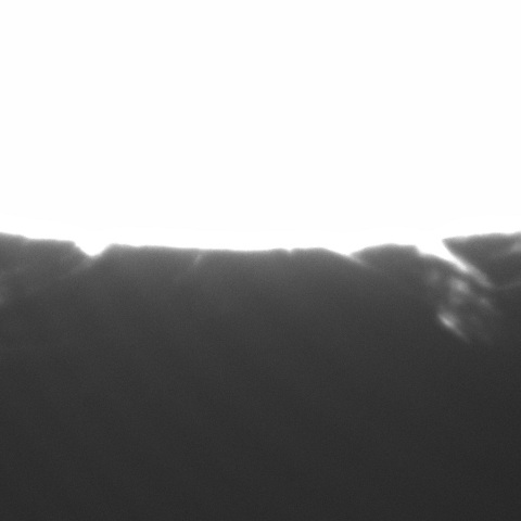 中規模プロミネンス