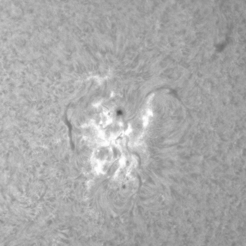 2021.10.29 活動領域