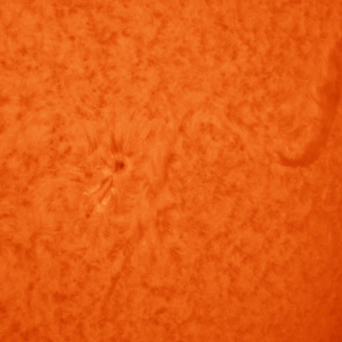 2021.11.28　えび形フィラメント