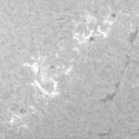 2021.12.18 活動領域