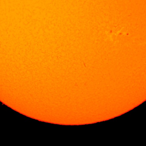 2021.12.30 黒点とプロミネンス