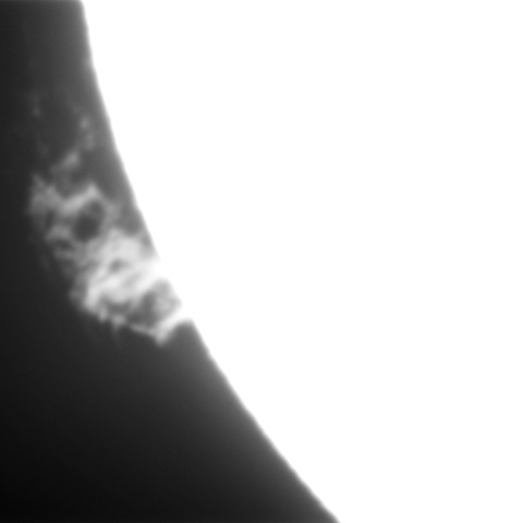 2022.02.05 プロミネンス