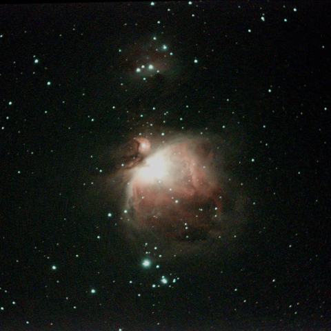 オリオン星雲（電視観望 Live スタック）