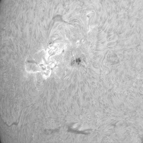 2023.01.08　黒点周辺Ｈα