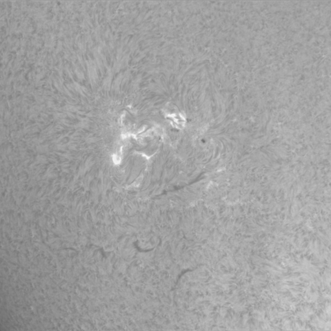 2023.04.11 太陽プラージュ