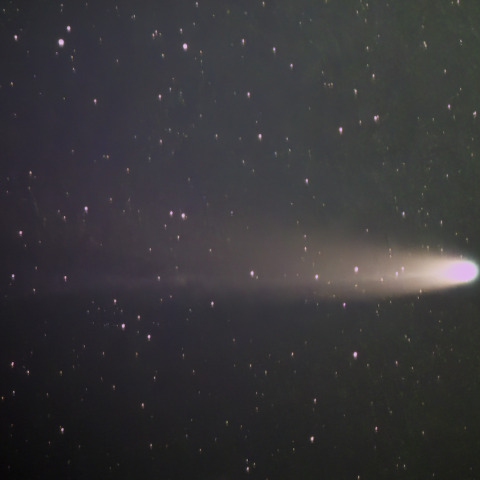 C/2025A6 レモン彗星