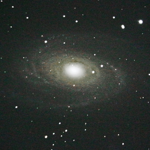 M81