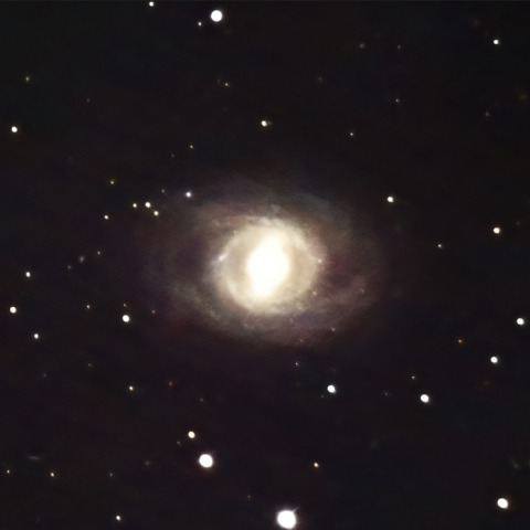 M95（NGC3351）