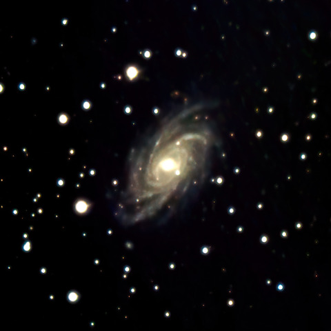 NGC2336