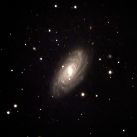 NGC3953