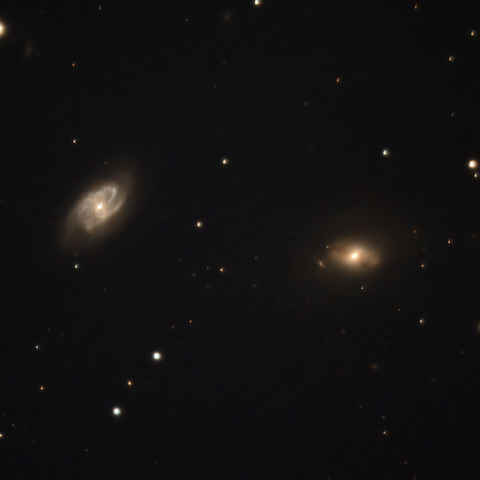 NGC2964