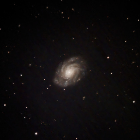 NGC3810