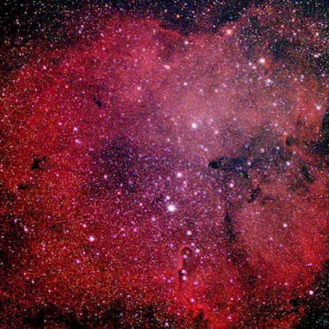 IC 1396