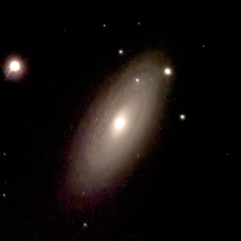 NGC2841