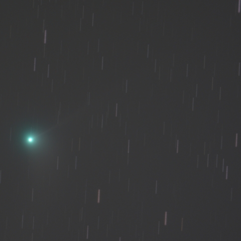 カタリナ彗星（C/2013 US10）