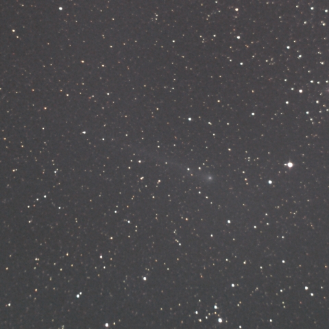 カタリナ彗星（C/2013 US10）