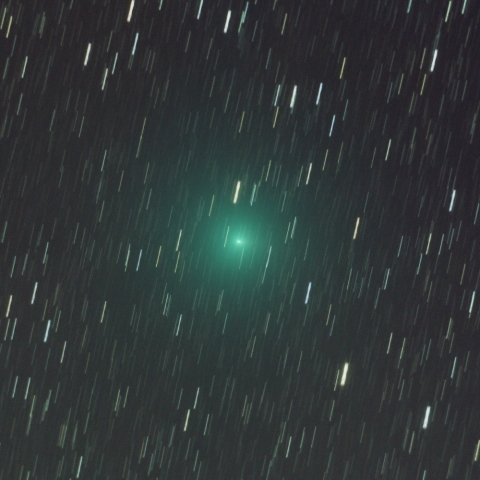 リニアの尾？(252P)