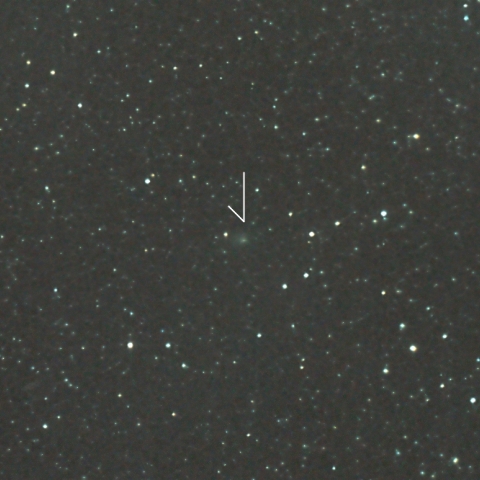 ヴィルド第2彗星 (81P)