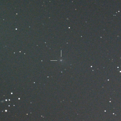 C/2011KP36 (Spacewatch)