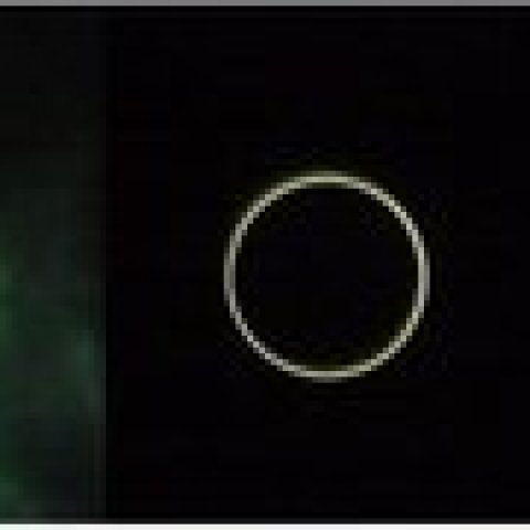 半ばあきらめていた。