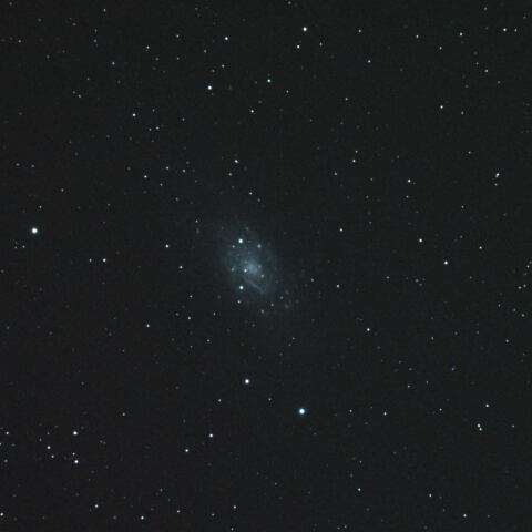 ひさびさの星見