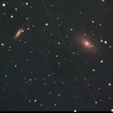 M81,82