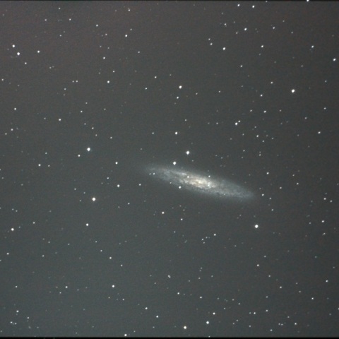 NGC253