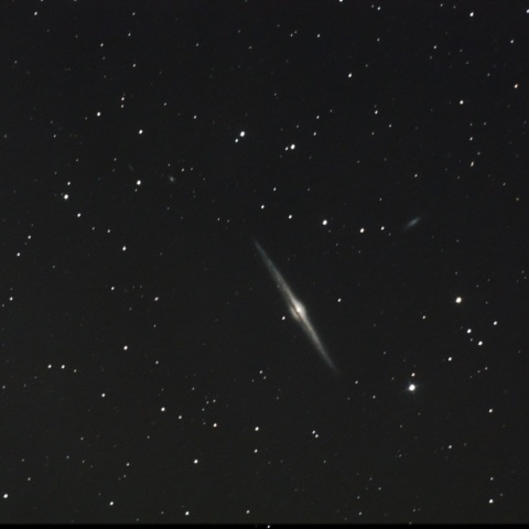 NGC4565