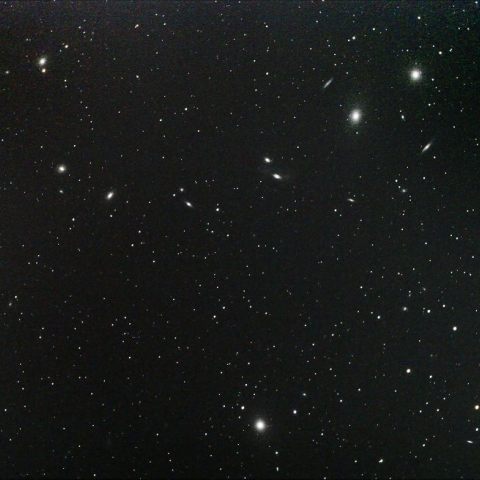 マルカリアンチェーン