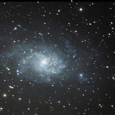 M33