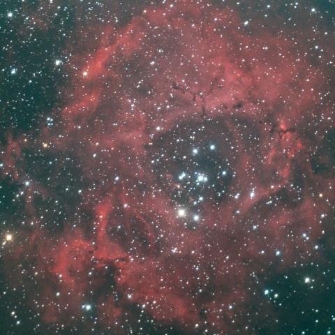 年末のバラ星雲