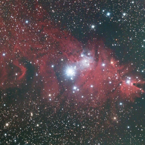 クリスマスツリー