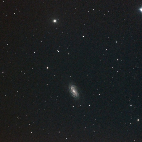 NGC2903