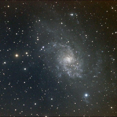 M33