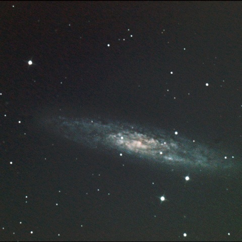 NGC253