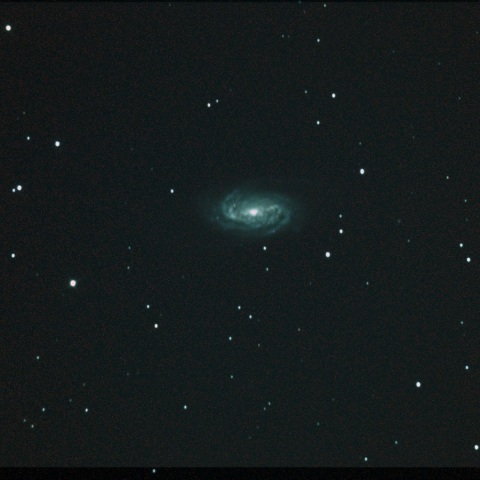 NGC2903