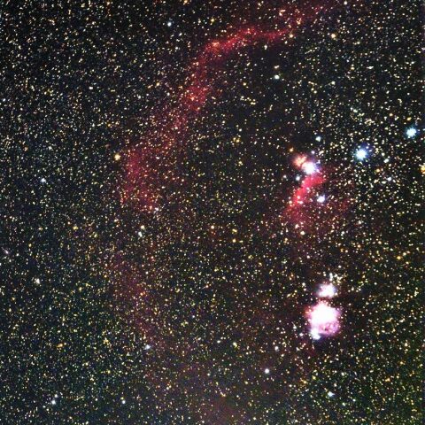 バーナードループ