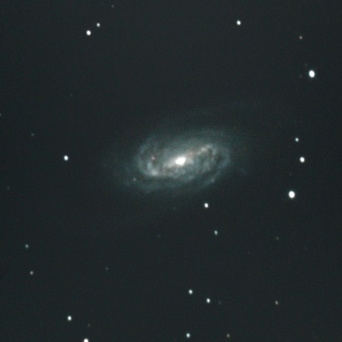 NGC2903