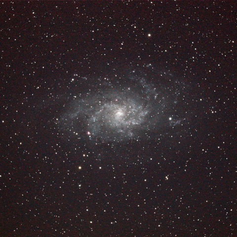 毎年おなじみのM33