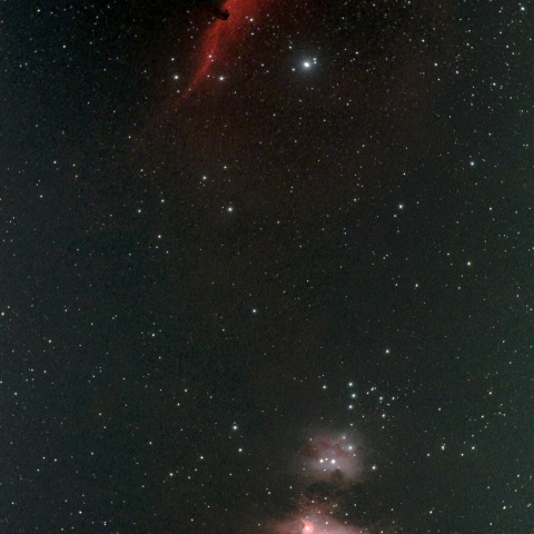 馬頭とオリオン星雲